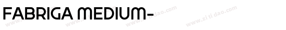FABRIGA MEDIUM字体转换